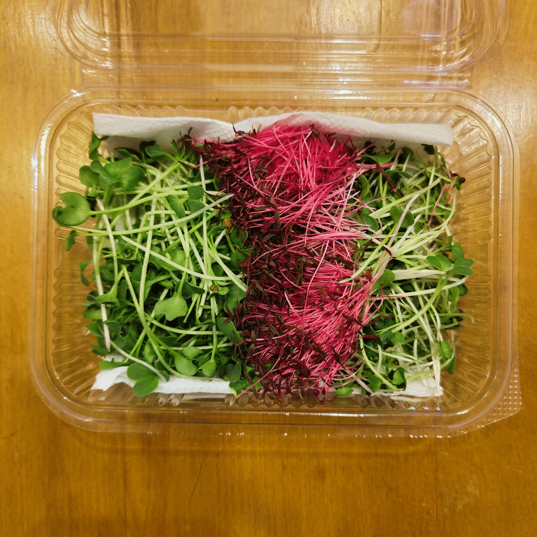 Red Light Green Light Mix